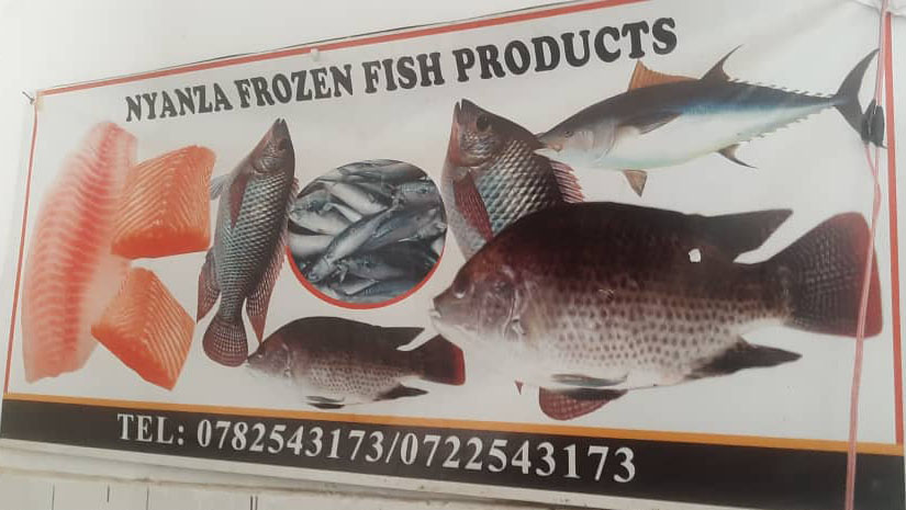 Abelia Product Image